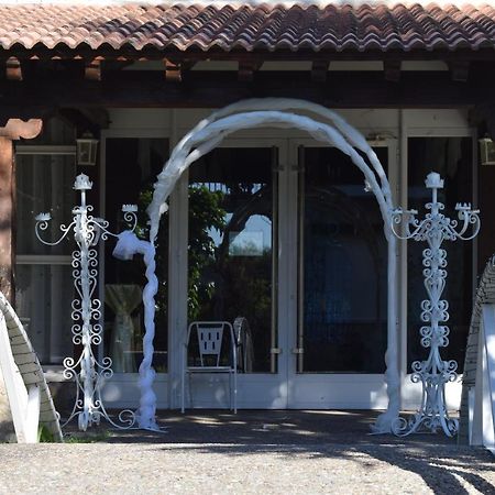 Hotel Las Casitas Del Jardin Tudela de Duero エクステリア 写真